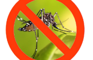 Dengue Alerta Sanitaria
