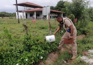 Minsa intensifica acciones de control vectorial e insta a reforzar prevención de virus respiratorios