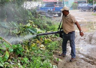 Reiteran a la población reforzar la eliminación del mosquito transmisor del dengue