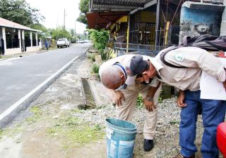 Reiteran a la población reforzar la eliminación del mosquito transmisor del dengue