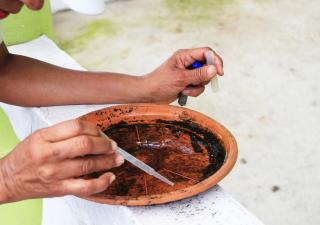 Minsa: Eliminar criaderos contribuye a combatir el dengue
