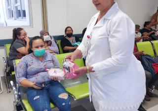 Minsa intensifica acciones de control vectorial e insta a reforzar prevención de virus respiratorios