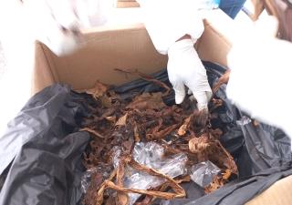 Equipos del Minsa evalúan situación de tuberculosis en Chiriquí                    