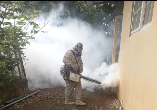 Minsa fortalece acciones de prevención contra el mosquito Aedes aegypti en la provincia de Los Santos