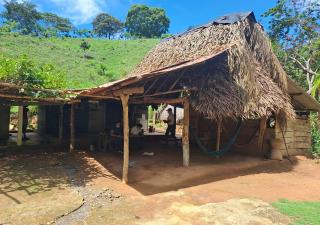 Minsa refuerza compromiso con la atención integral en el Día Mundial de los Cuidados Paliativos