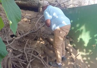 Salud realiza jornada de fumigación y desratización en Loma Bonita