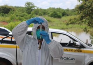 Jornada de caracterización de roedores fortalece la vigilancia del hantavirus en Veraguas