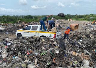 Panamá Este destruye productos decomisados en Chepo, Margaritas y Tanara por riesgo sanitario