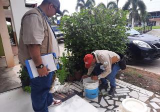 Minsa Los Santos fortalece el Día" D" contra el Dengue: “Por tu salud, elimina los criaderos de mosquitos”