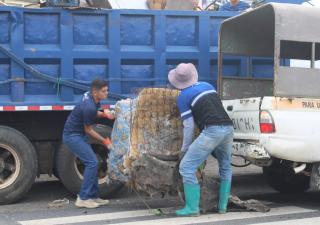 Más de ocho toneladas de chatarra fueron recolectadas en Alto Alfaro 