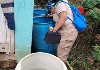Veracruz refuerza la lucha contra el dengue
