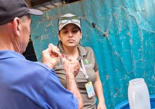 Minsa reforzó vigilancia sanitaria durante las festividades de Santa Librada en Las Tablas 