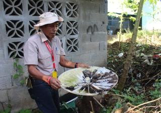 Salud reporta 331 casos de dengue y refuerza llamado a eliminar criaderos del mosquito, en San Miguelito