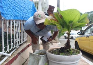  Salud intensifica acciones para prevenir el dengue en San Miguelito