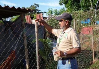 Minsa intensifica acciones  contra el dengue e insta a reforzar prevención de virus respiratorios