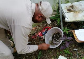 Minsa destaca reducción del dengue en San Miguelito y llama a reforzar la eliminación de criaderos